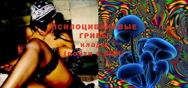 меф Вяземский