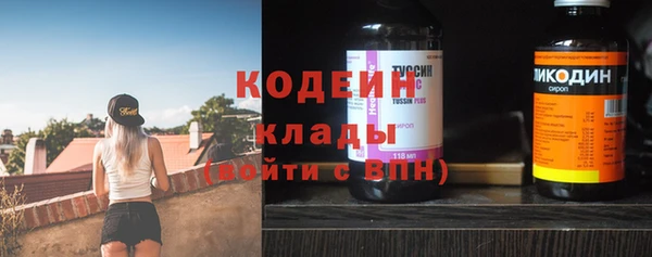 меф Вяземский