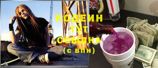 меф Вяземский