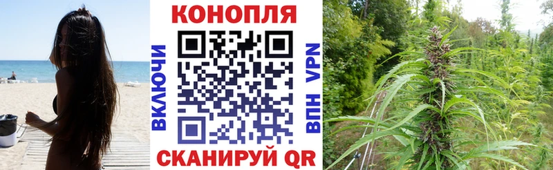 Канабис VHQ  гидра сайт  Ершов 